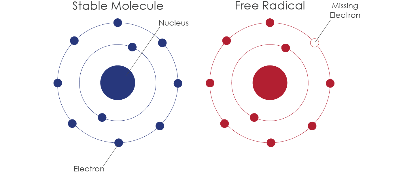 Free Radical Diagram